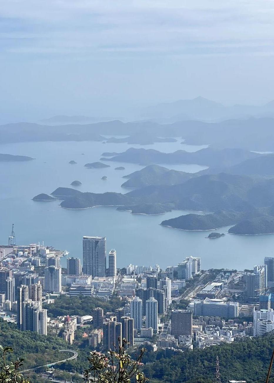 55岁失业，我躺平了两年，没有收入，却想明白一件事：这未必是绝路两年前，我55