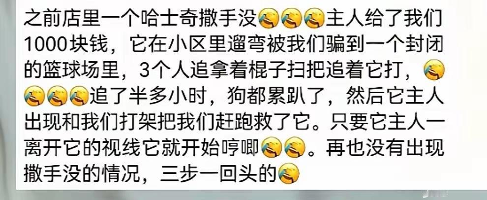 哈士奇有这记性？