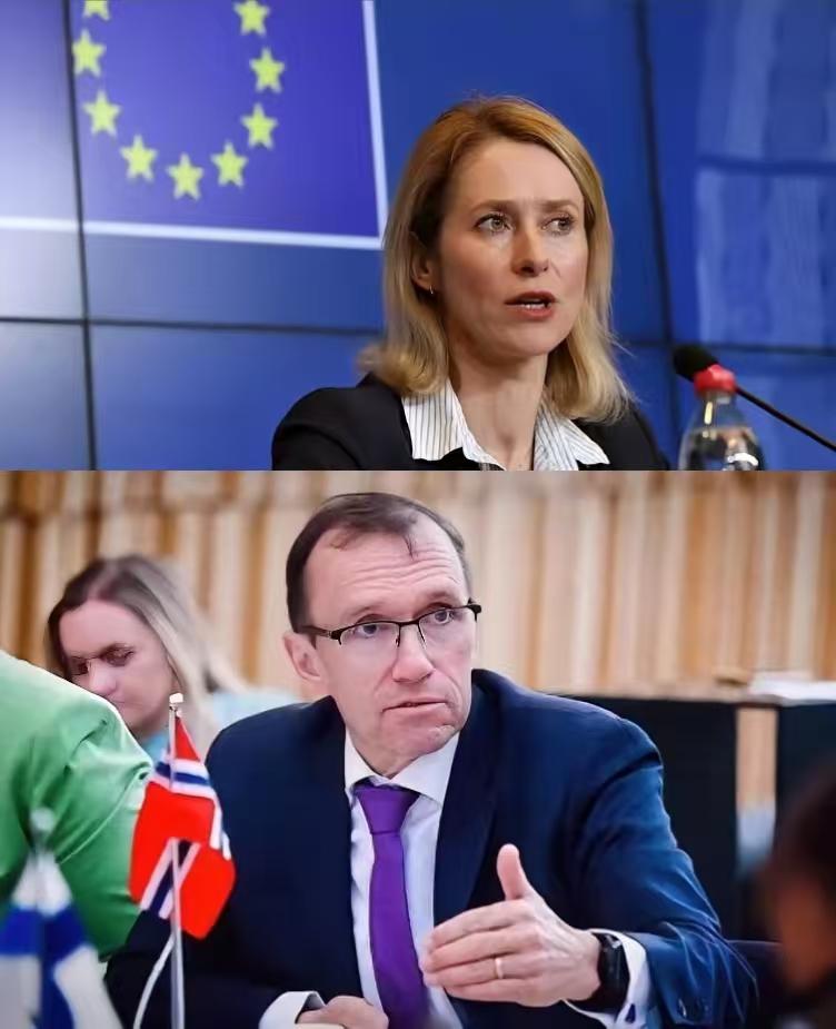 笑不活了！欧盟女议员狂吹“中国威胁”，被挪威外长当场掀桌子，脸都打肿了！必须