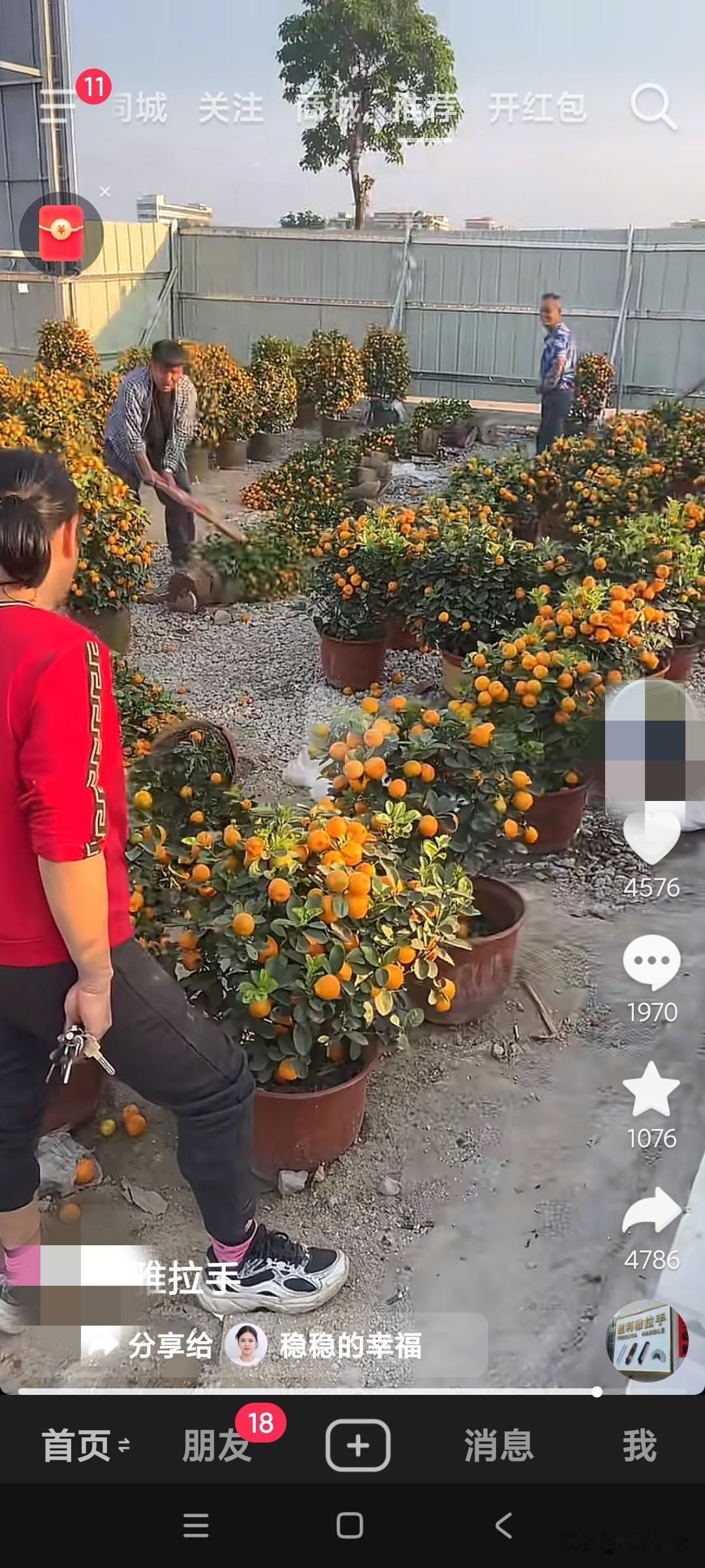 今年过年卖年桔的人惨了，亏大了。这么好年桔都没人买，卖年桔的老板都卖的发脾气，发