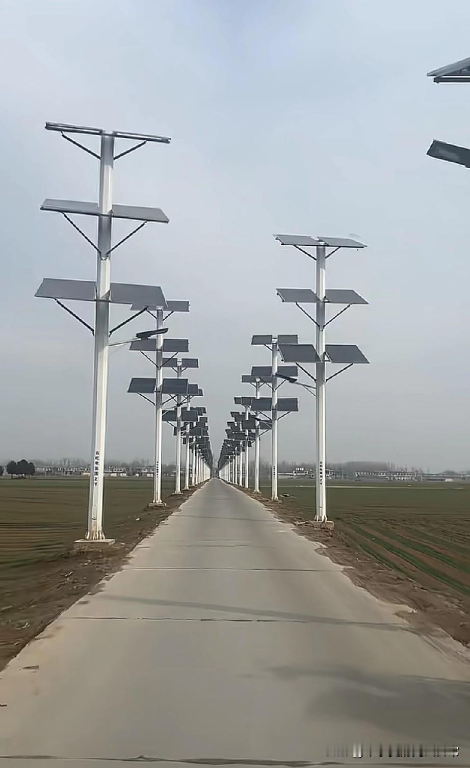 看来还是村长会花钱。。。这阵仗比城里CBD还气派开车回村的路上，我直接被