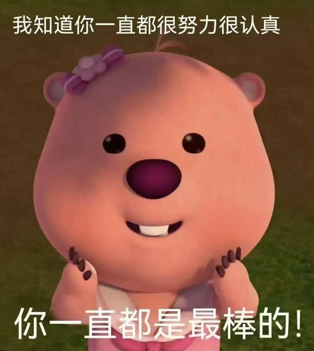 ✨9月24日次吉3个生肖（虎、兔、龙）运势指南🐯【生肖虎】整体：机会有，