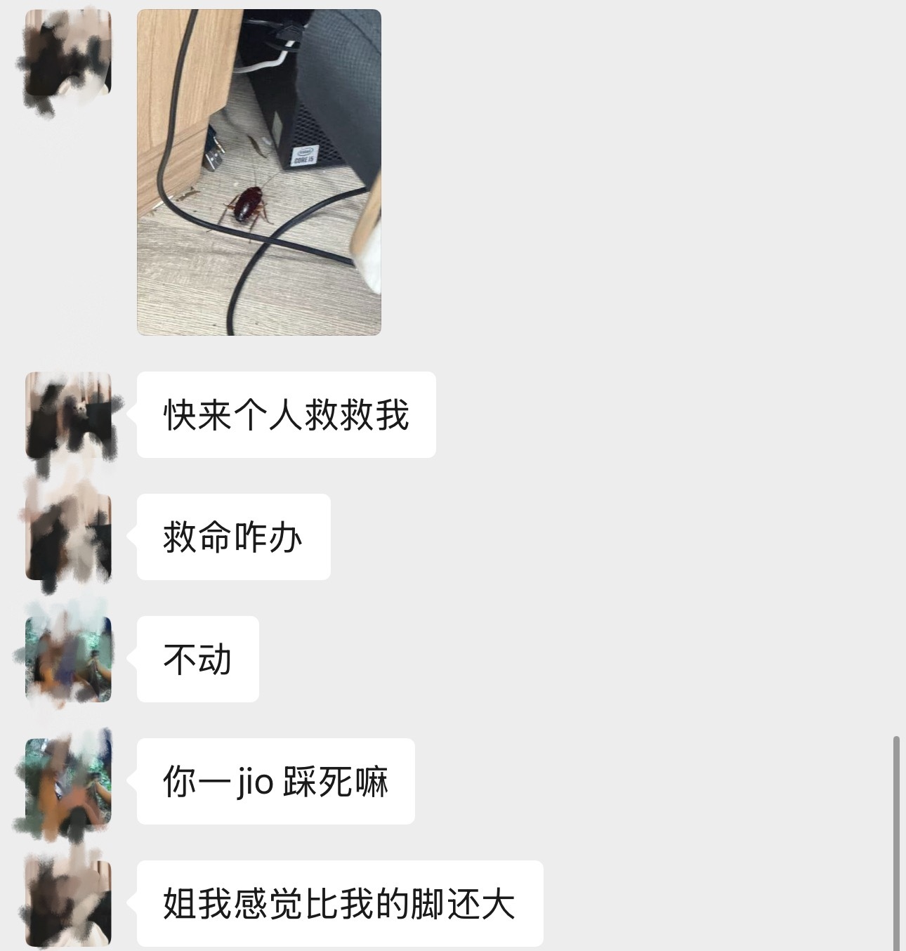 办公室的山东姑娘，一早发现一只蟑螂，直呼救命山东真的没这么大还会飞的蟑螂吗？​