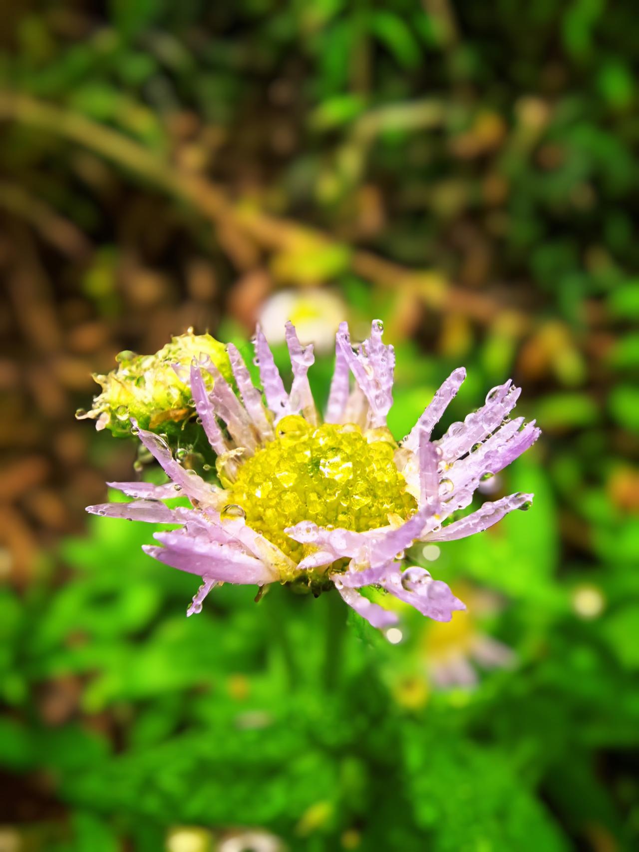 觉醒后，你只须把自己做好，做到问心无愧，一切好坏善恶是非对错，自然与你无