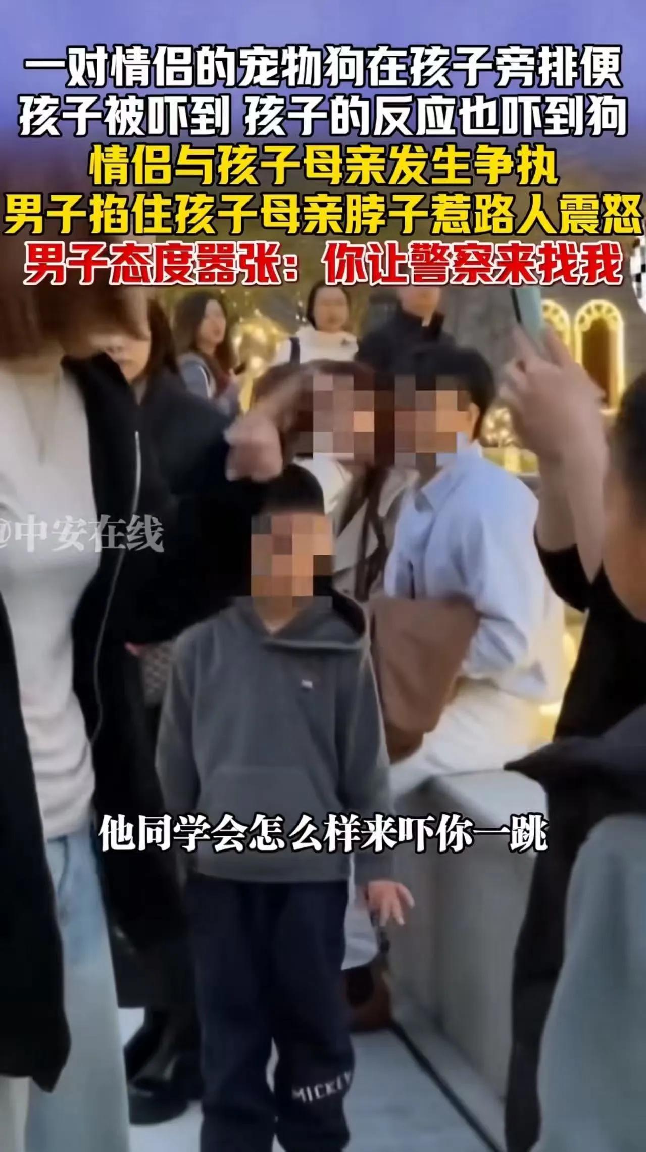 远离把狗当孩子的人，莫让宠物凌驾人性之上上海街头这起令人震怒的遛狗冲突，彻