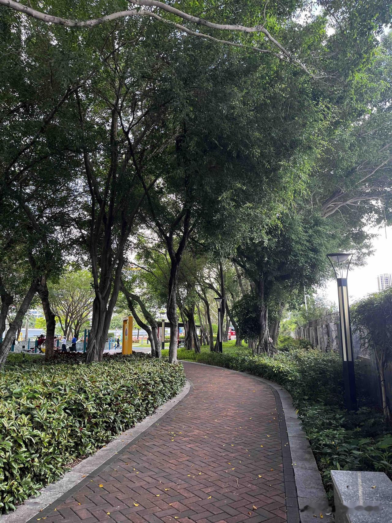 资治通鉴：你越想报复，越被困住？当你被小人算计，学会把烂人踢出自己的注意力。