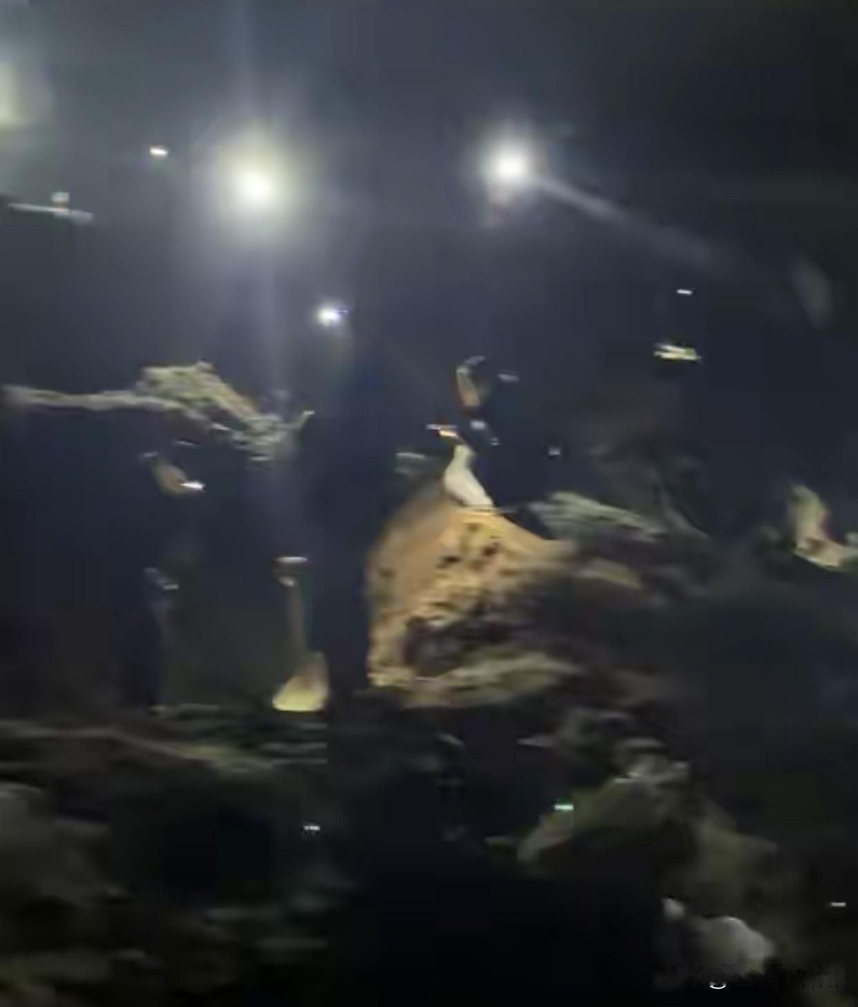 上海有多名群众挖出银元，从现场3个细节来看，这事还真可能不是骗局，1、从现