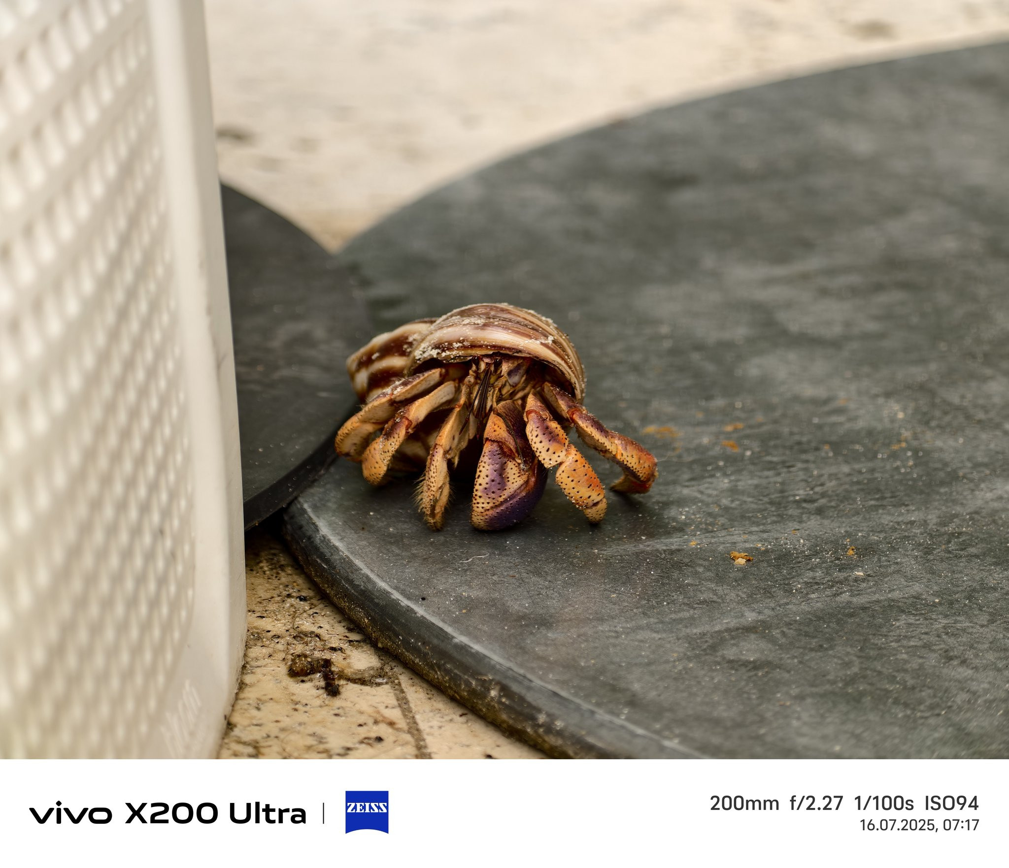 vivoX200Ultra影像套装200mm、400mm、800mm、160