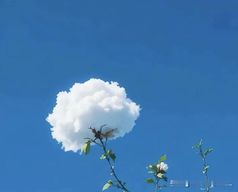00后女教师嫌周五下午的课排得太晚。放学赶不上前往外地的高铁。她径直冲进校长