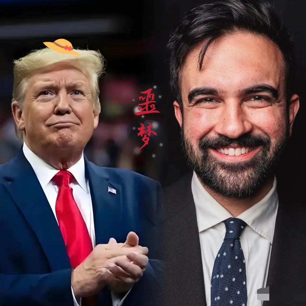 民主党大获全胜了。2017年11月的美国地方选举里，民主党拿下多个关键席位