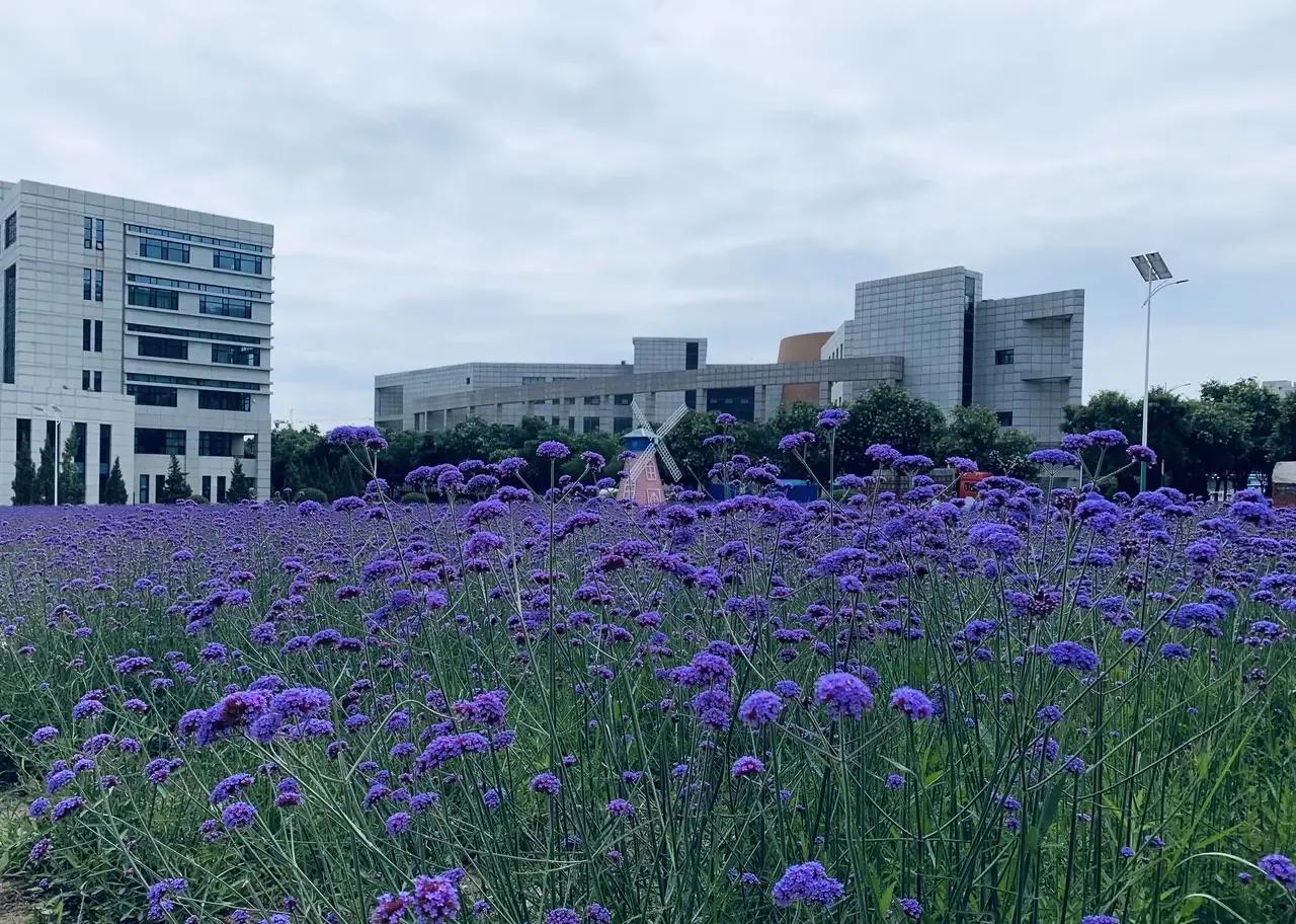 内向的人能做什么工作在喧嚣的世界里，内向常被误解为缺陷。然而，静水深流，内向