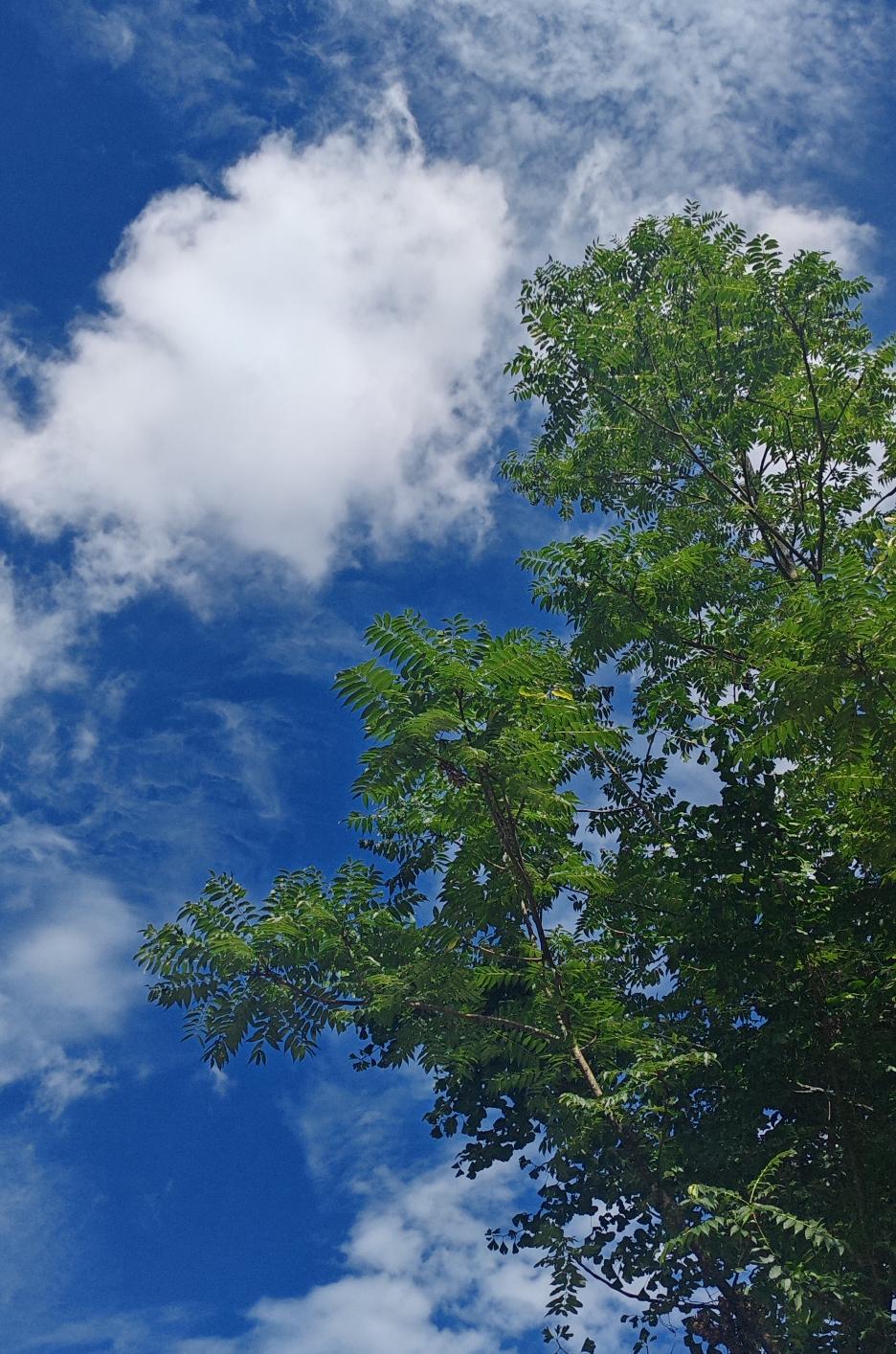 如何吃的健康夏日想要吃得健康，核心是清淡补水与清补结合。既要通过多进稀食和补充