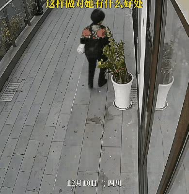 她对什么不满？