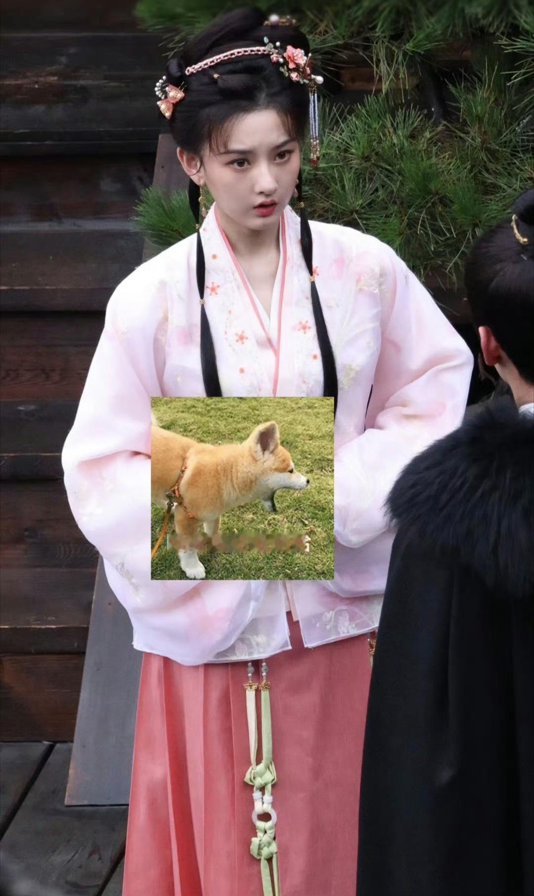 布料居然是纱​​​