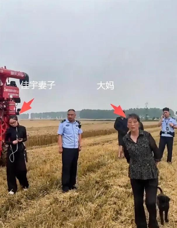 最近襄阳麦收的“割四赔五”事件，实在让人又气愤又心寒！河南一对95后农机小夫