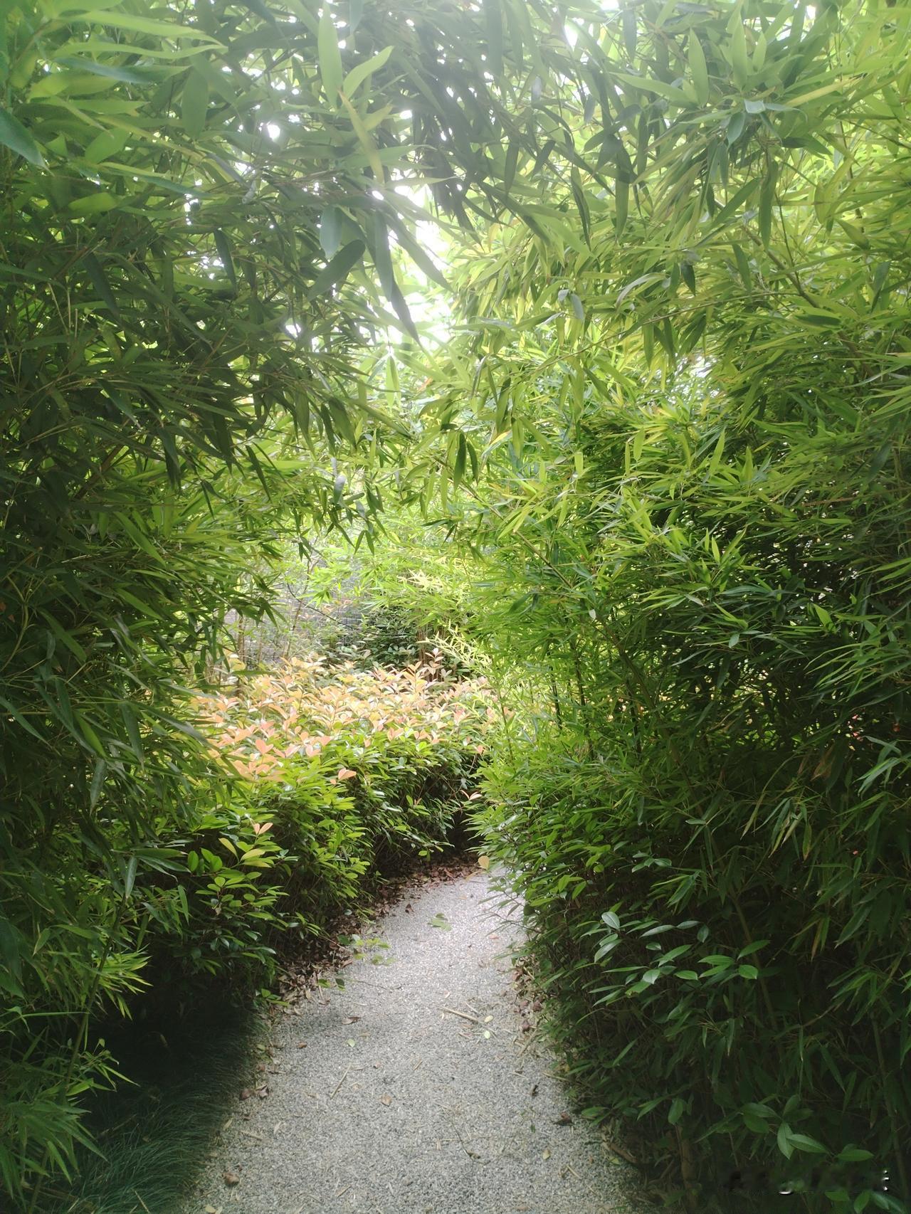 每天坚持跑步的人,身体有多健康?跑步确实是个很好的习惯，天天坚持跑步，能增强心肺