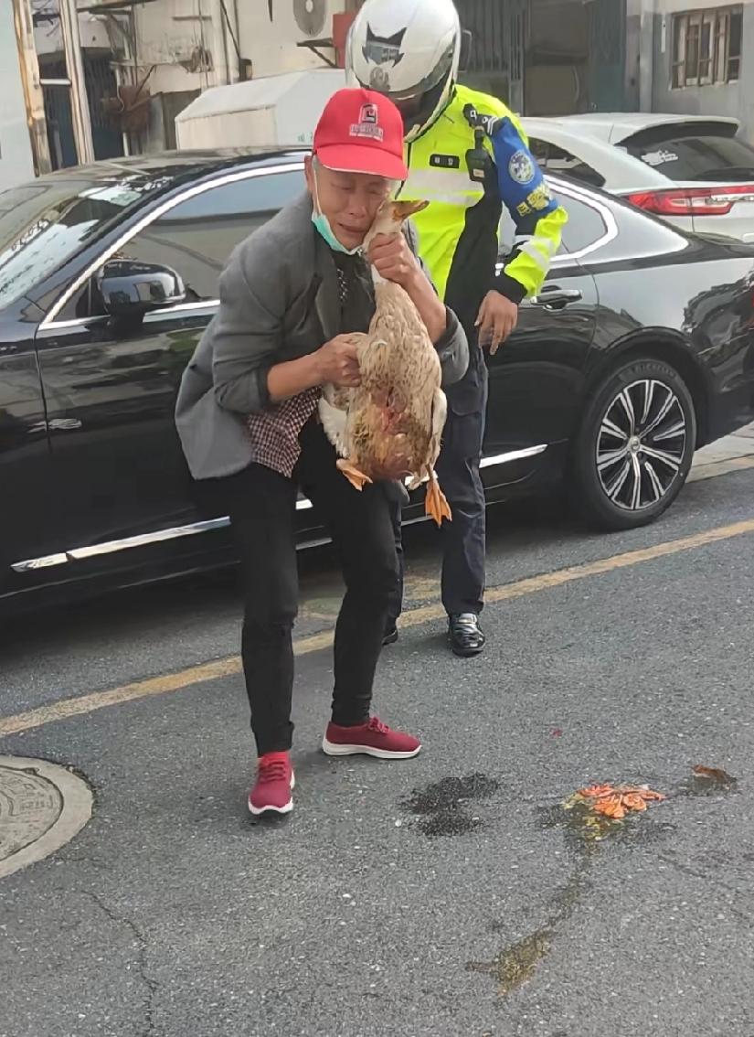 老太太确实伤心，她老公重病化疗，鸭子是祈求保命的，也算是精神寄托，突然去世确实痛