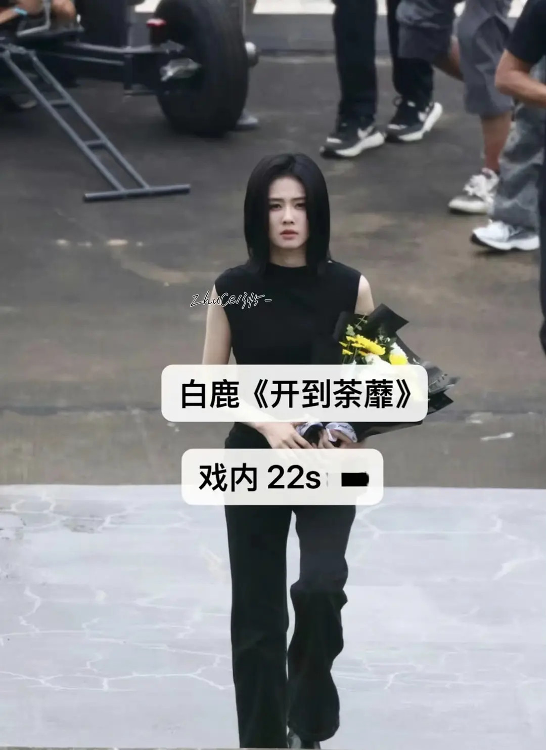 白鹿别原谅现偶啦放过现偶吧