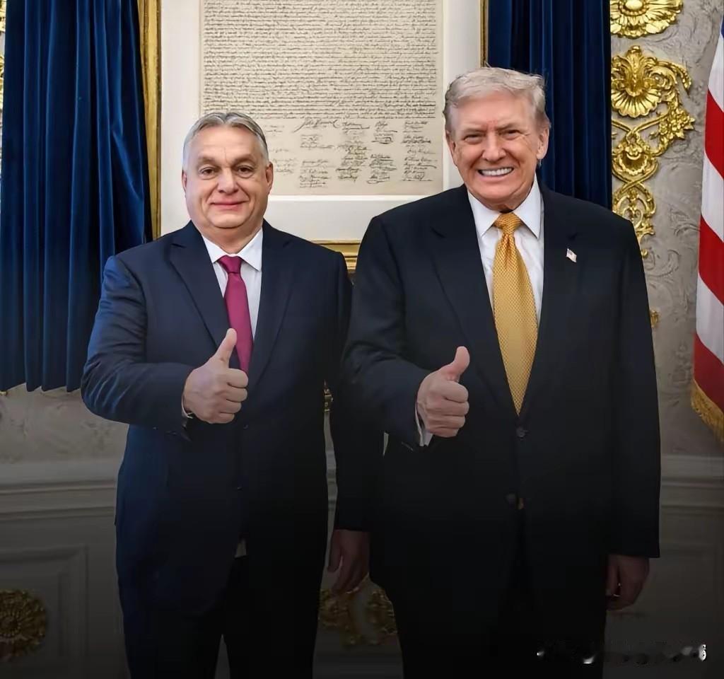 第一个加入“草台班子”的为什么是欧尔班？首先：在欧盟，欧尔班就