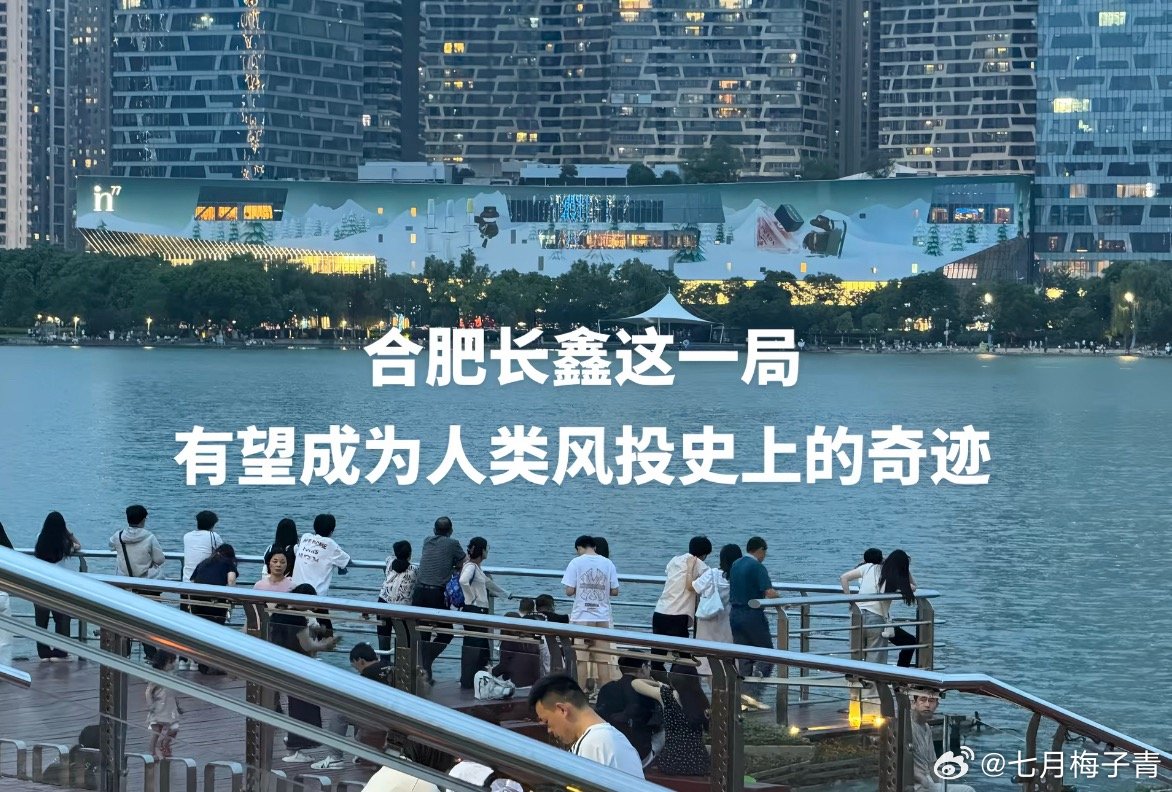 全世界的风险投资投的是PPT、是团队、是赛道。合肥投的是什么？是一座城市三分之一