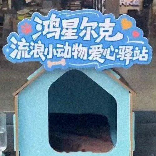 早几年就有网友拍到鸿星尔克门店大热天不赶流浪猫狗，留门缝让它们进店吹空调躲太阳。