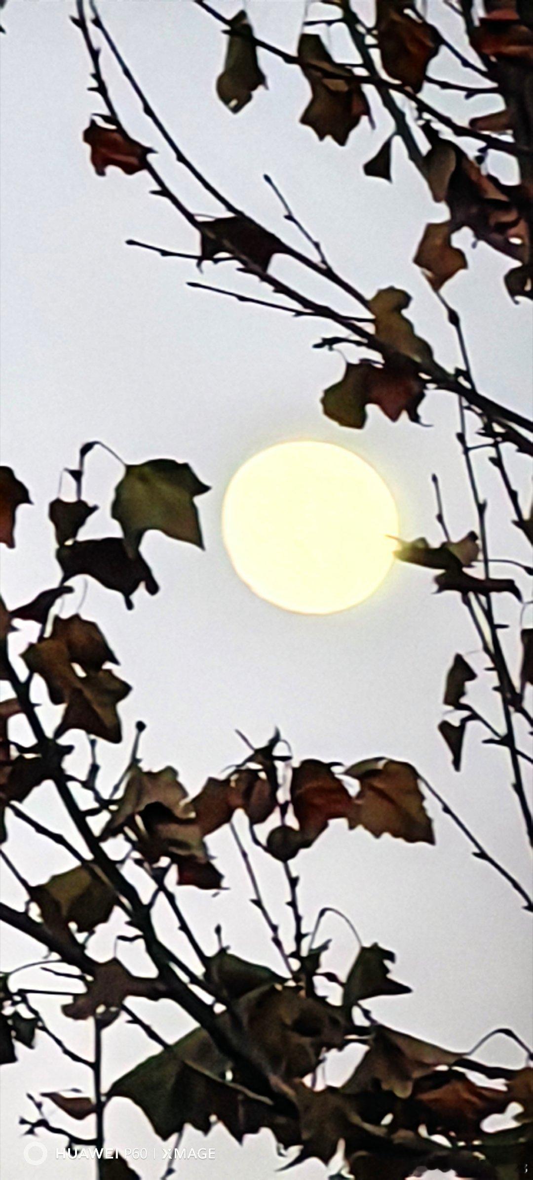 傍晚5点钟的月亮。月亮手机摄影手机摄影北京·北京风景