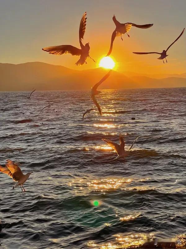 人这一辈子，究竟什么最重要?人这一辈子，究竟什么最重要？我觉得有几样东西不可或