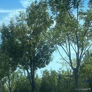 蓝蓝的天空，漂浮着浮云​​​