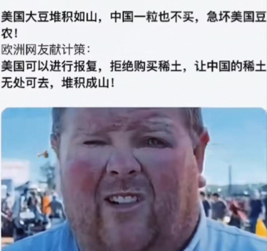 稀土白菜战：美国韩国若对华“硬断”，谁先喊疼？