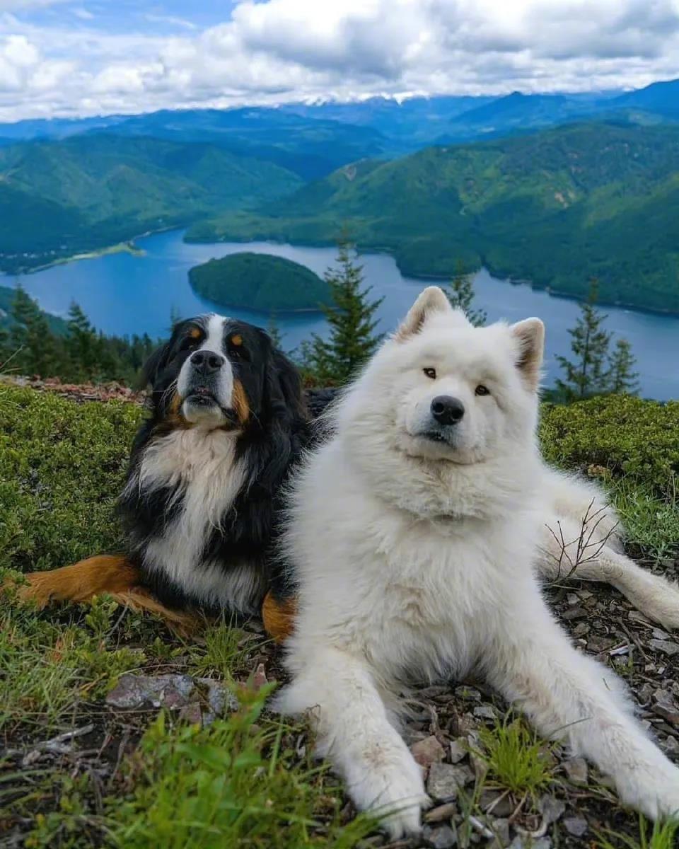 眼睛能否再睁大一点点！