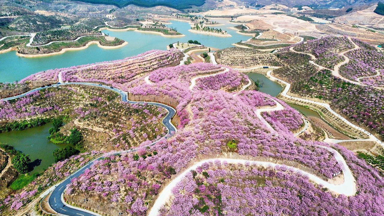 花海航拍最美家乡一张图证明你去过的地方我用摄影看世界风景如画的地方