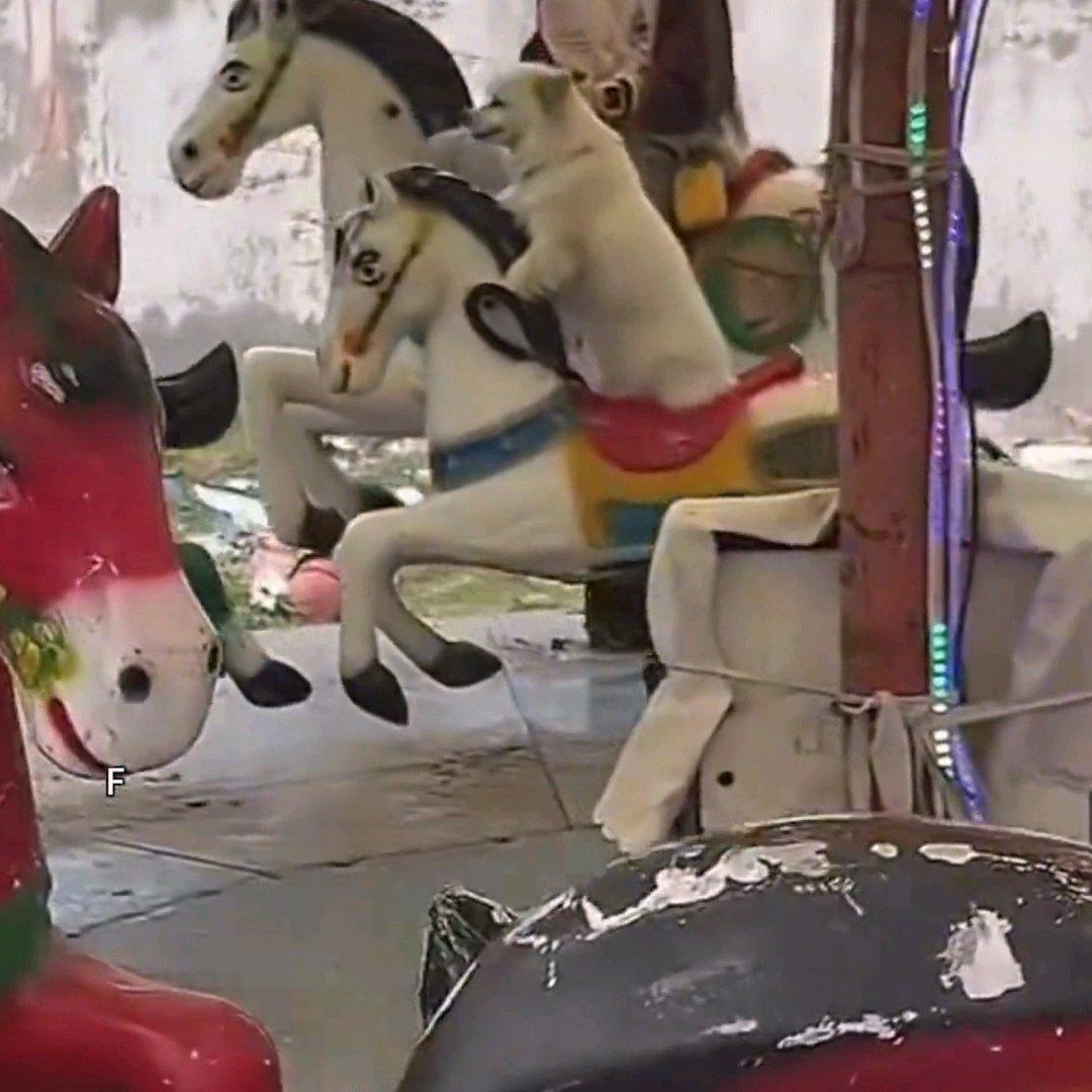 江苏有位小姑娘，带着自己的狗狗去游乐园，想给小家伙也买张票一起坐旋转木马。本来只