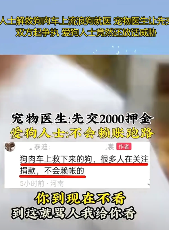 不交押金不给流浪狗就医？某爱狗人士博主发视频称：她从狗肉车上救下的流浪狗，送