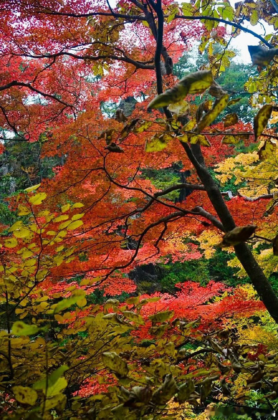 交易本质的秘诀：1,交易时不害怕，也不过度自信。2,从市场观点解读市场提供的信息