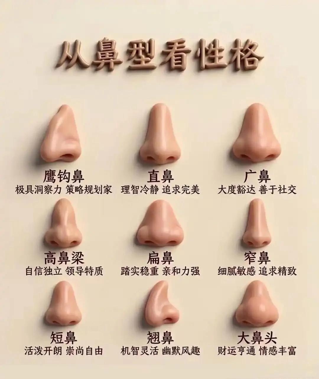 看鼻子就能判断性格？快来对号入座！盘点9种鼻型对应的人物特质，每种鼻型都