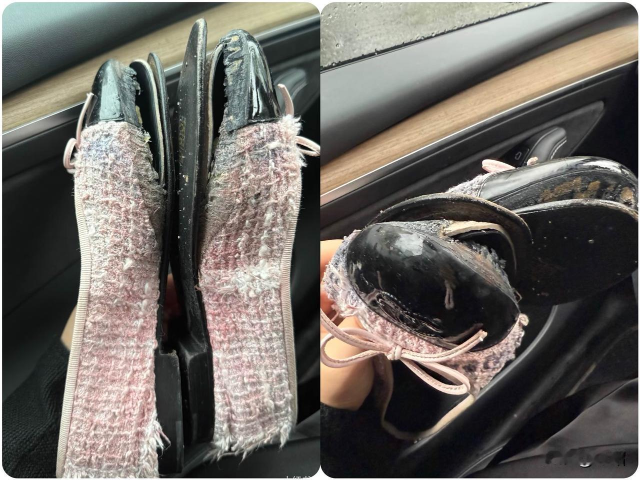 我真是服了~香奈儿你真的让我手足无措颜面尽失了下个雨给你下绽放了
