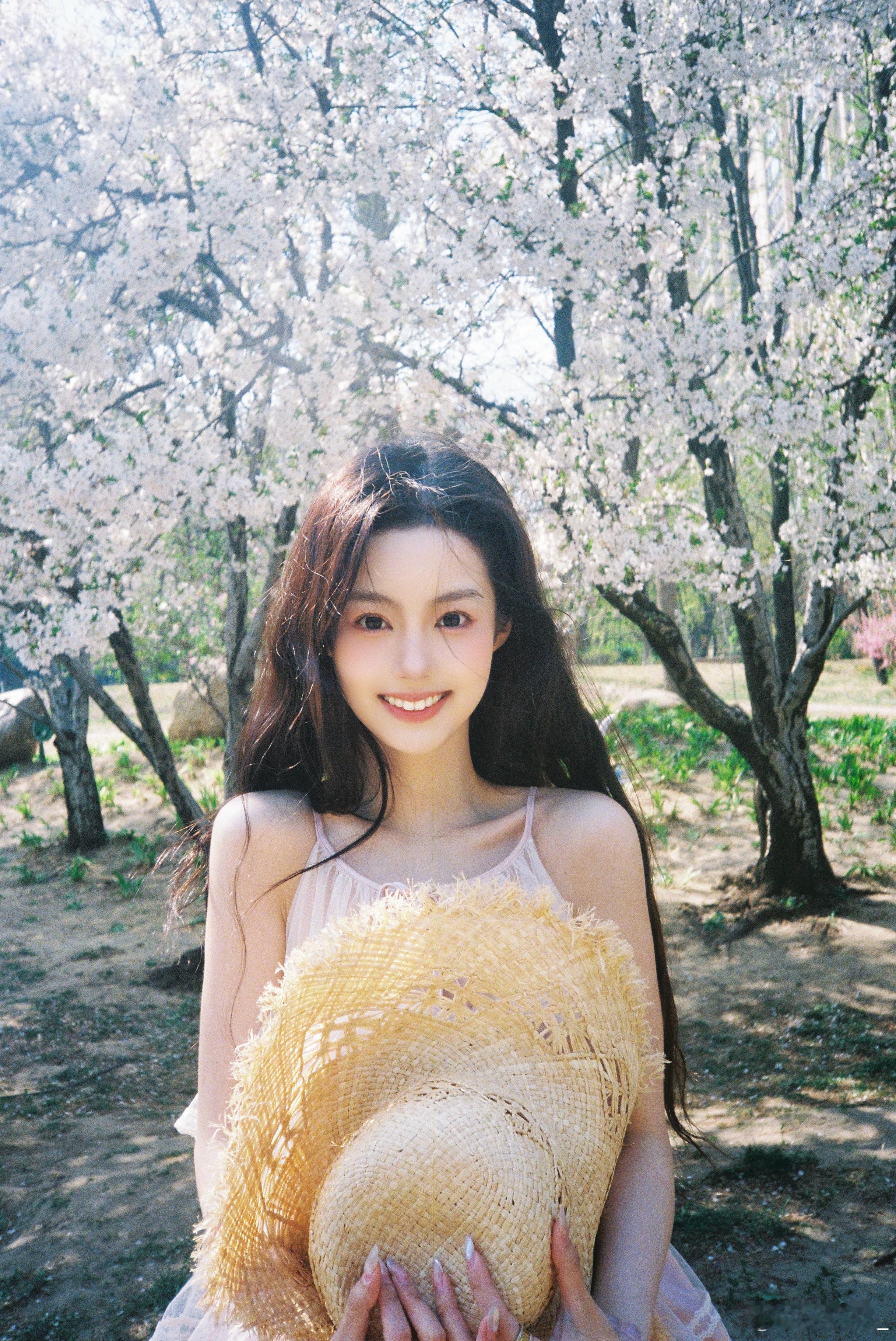 浅更一下前几天拍的樱花～～🌸（唉我果然没有什么生活意识只赶上了樱花的尾季…