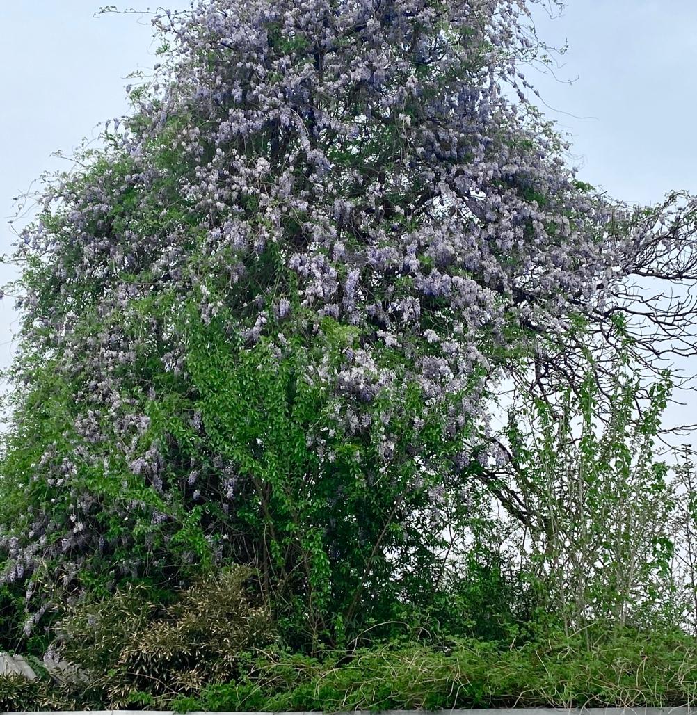 两个同样都55岁的女人。一个有退休工资，每个月1500元。没有存款。另一个没