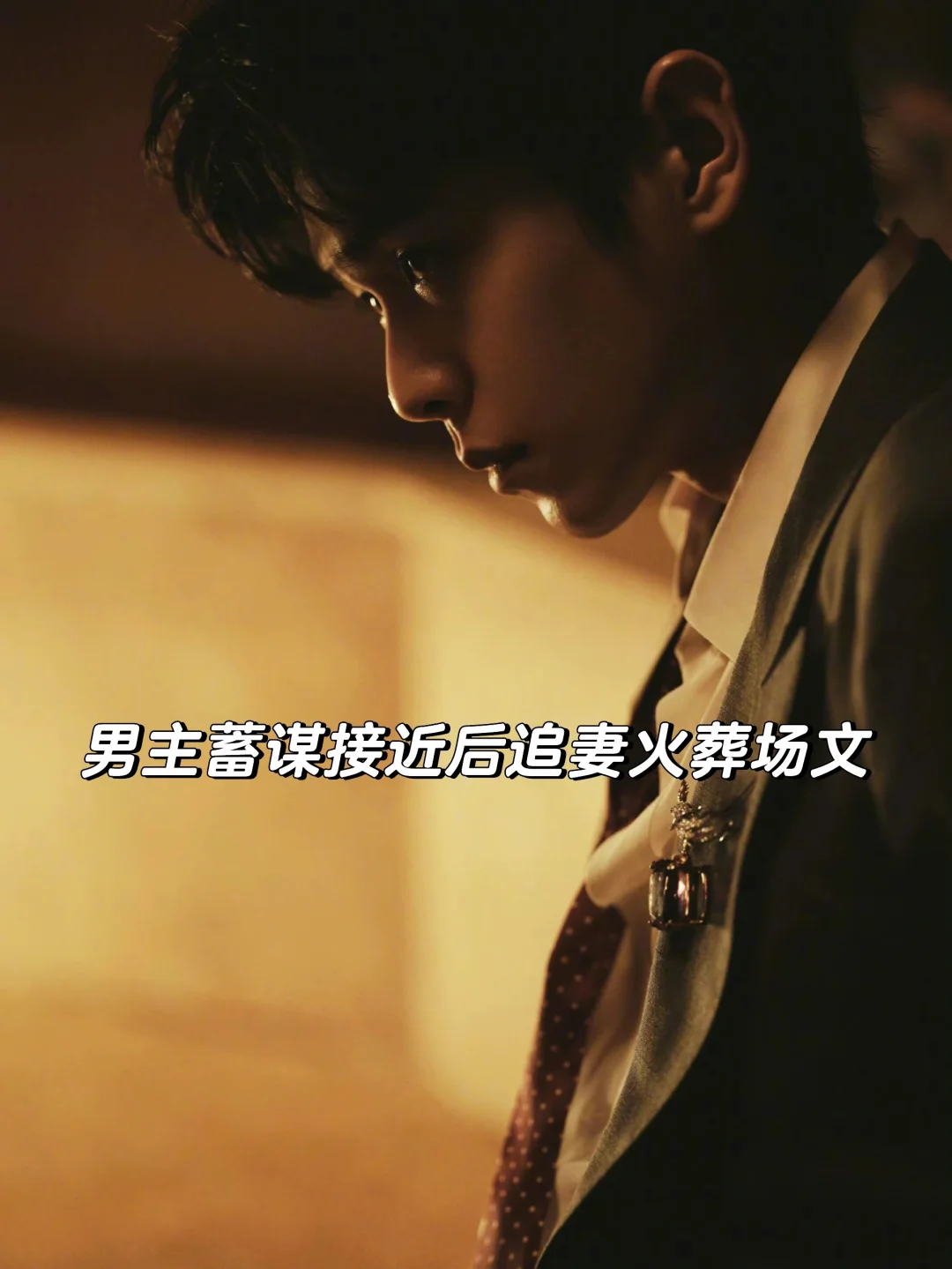 7本男主蓄意接近后追妻火葬场的小说！