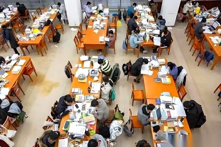 复旦大学那张通知下来，文科生的招生比例，直接从40%砍到了20%。就像推倒了第