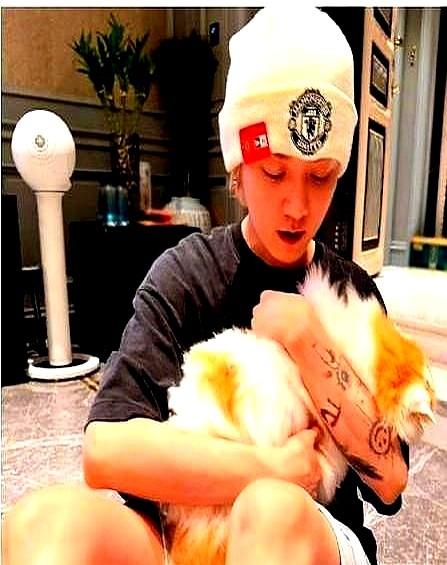 鹿晗一句“馒头别吃了”，炸出500亿的生意。他就跟关晓彤送他的那只小狗念叨一句