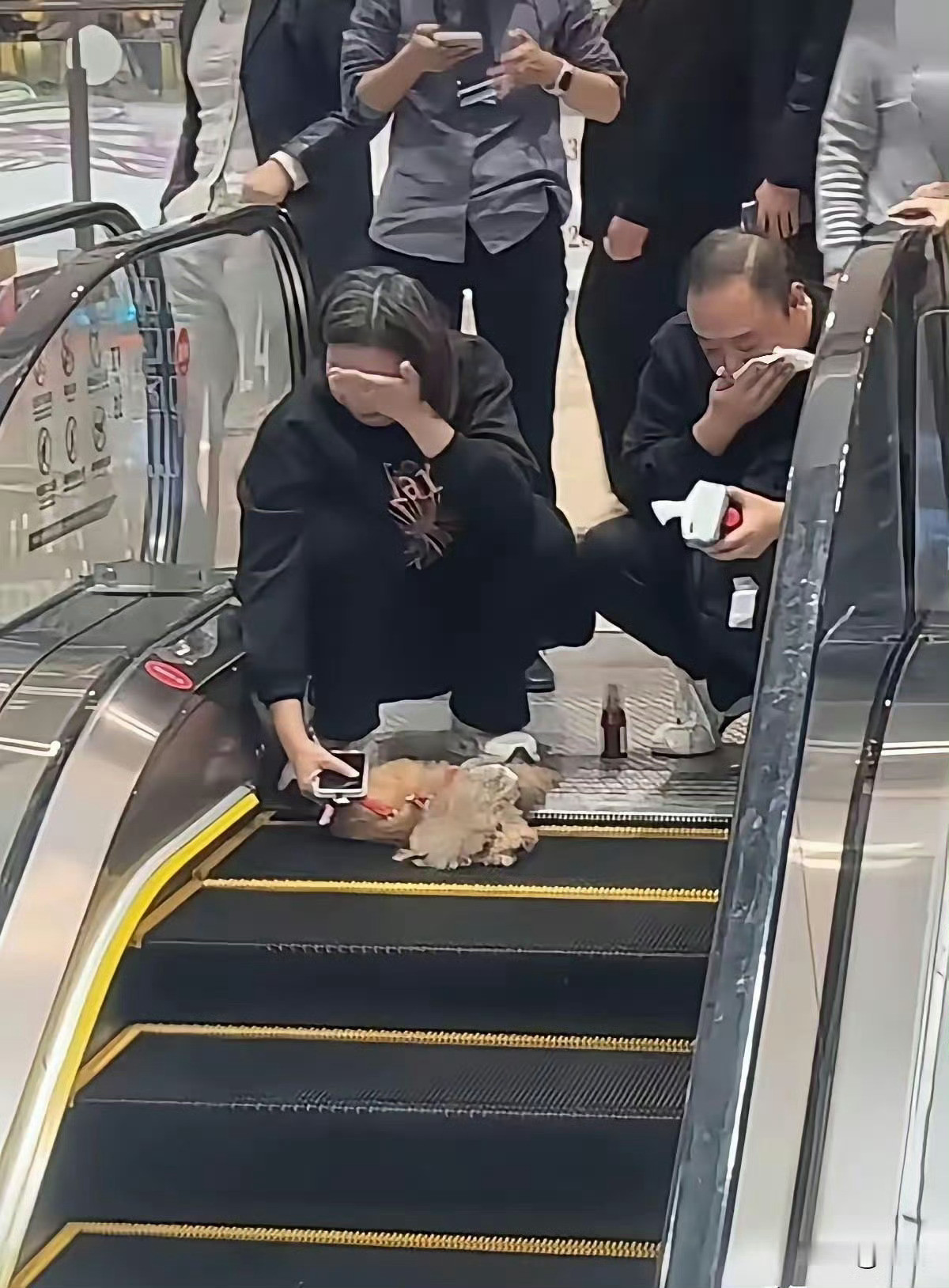 养狗必须要拴绳！