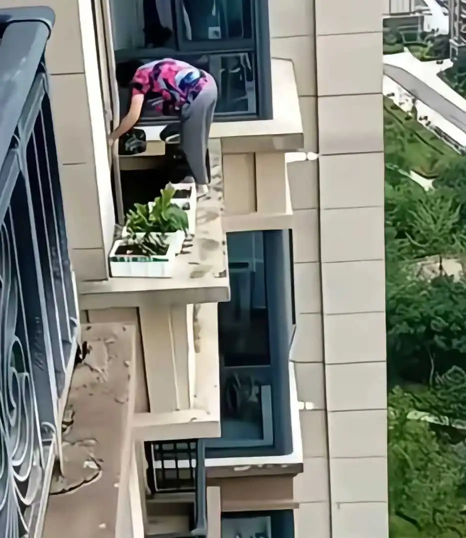 大妈胆肥，十几层高楼外种绿植！