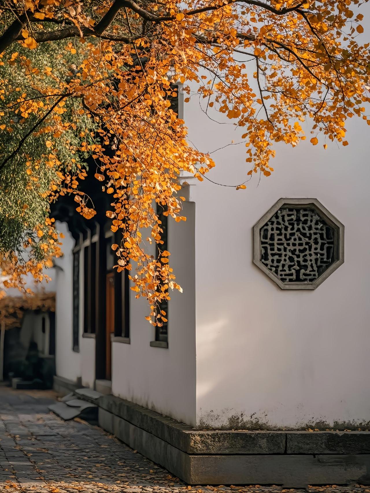 有人说高考能够改变命运吗？当然是可以改变命运的，尤其是改革开放后的这几十年，只要