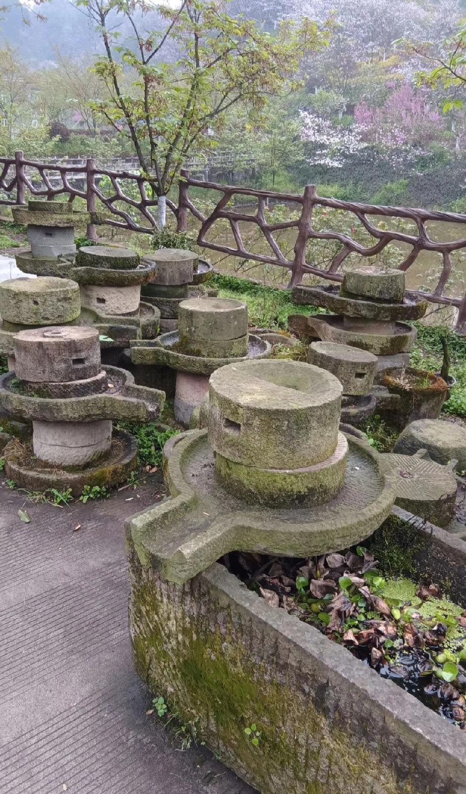 你推过这个吗？现在还保留着的吗[吃瓜]