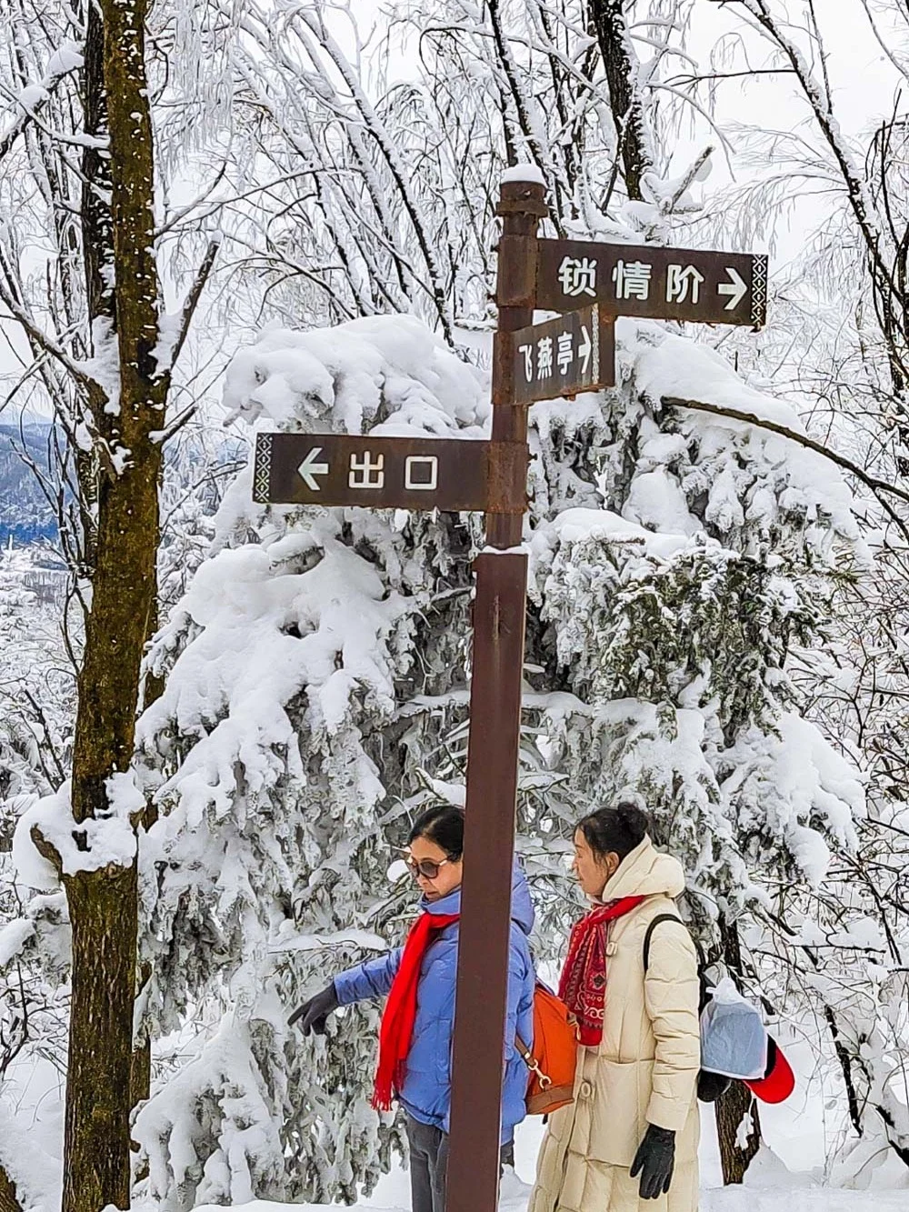 冬日限定❗️坐上绿皮火车闯入秦岭冰雪世界