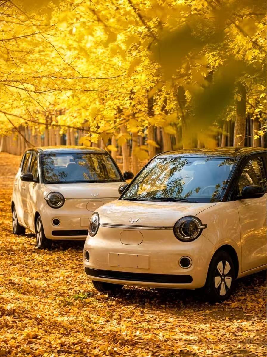 第五代宏光MINIEV内饰首发，纯电代步车变个性盲盒柜？ 近日，第五代宏光M