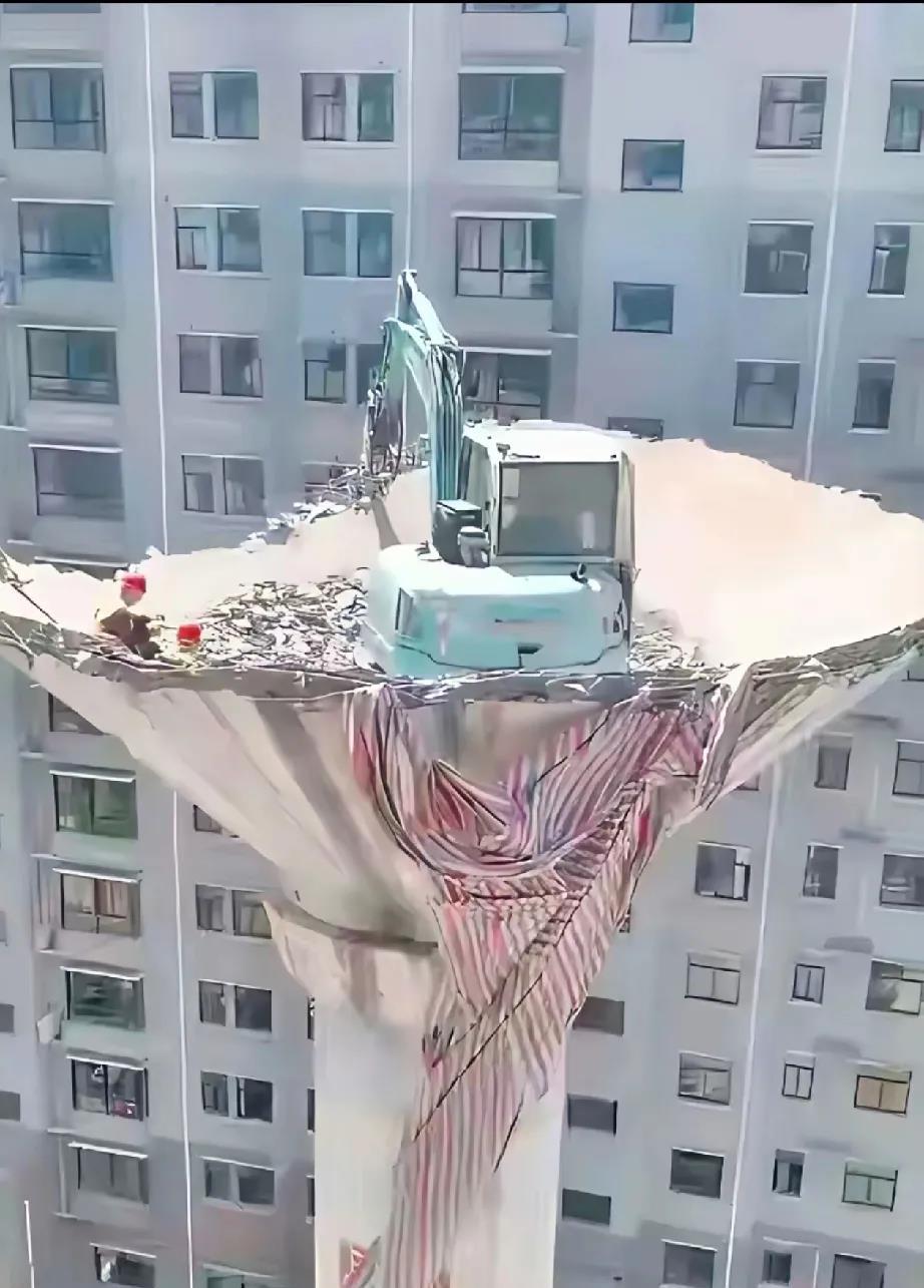 这么高，它是怎么上去的