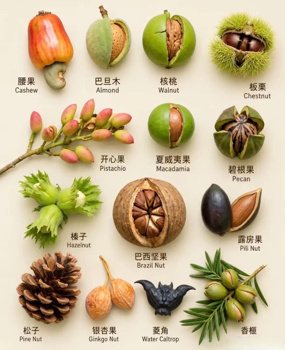 这些坚果，你都吃过哪些？