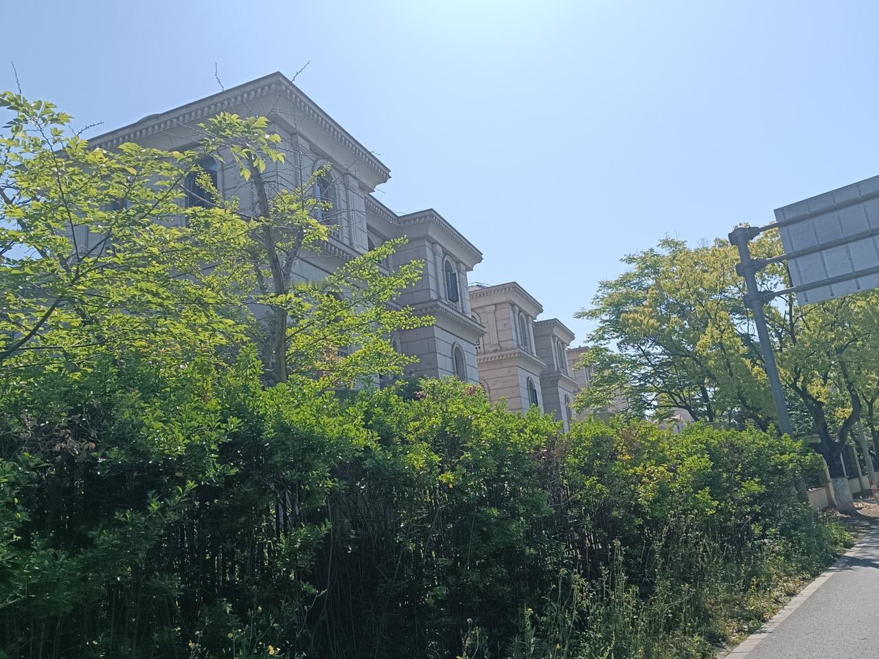 上海的魔都不是浪得虚名的，这连片的别墅建成大概有十年了，硬生生放了十年没人住